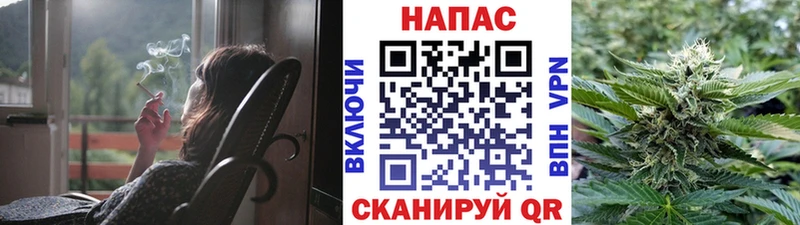 Канабис планчик  купить  сайты  Тырныауз 